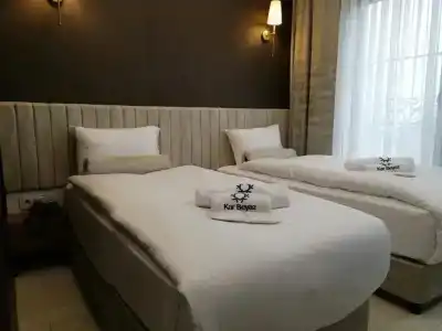 Kar Beyaz Bursa - 1