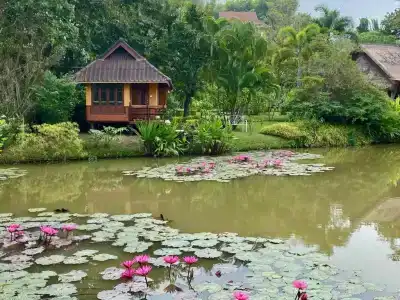 Pura Vida - 31