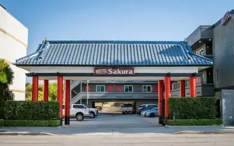 Sakura - 15