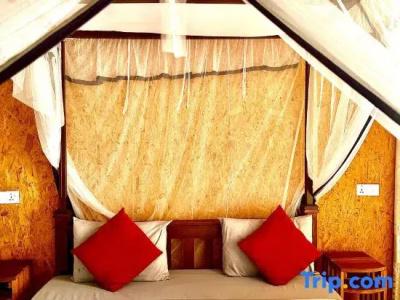 The Ella Nature Life Guest Inn - 35