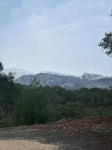 yenivadi - 2