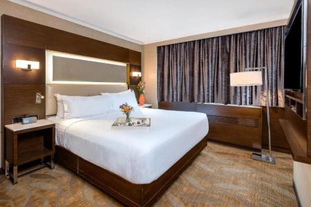 Holiday Inn Brooklyn Downtown, An Ihg - 41