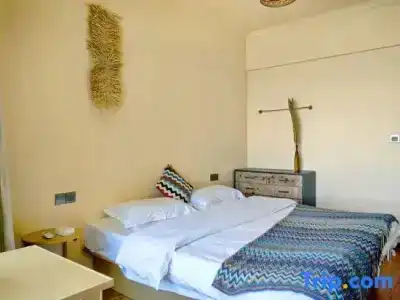 Novotel Suites Nancy Centre - 286