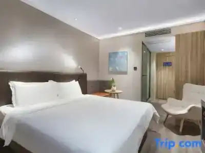 Hanting Premium Nanjing Xuanwumen - 22