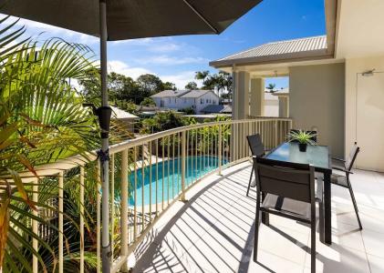 Noosa River Palms - 200