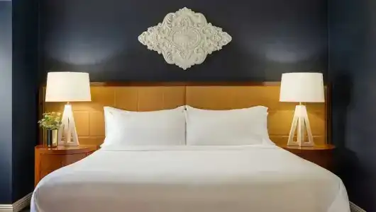 Omni Chicago & Suites Magnificent Mile - 100