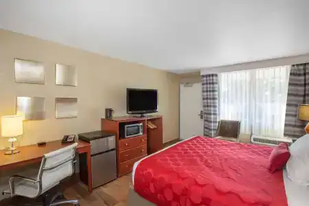 Ramada by Wyndham Venezia - 29