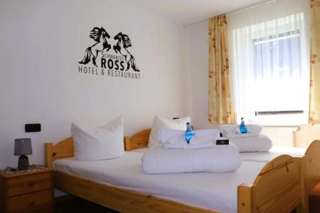 Schwarzes Ross & Restaurant Oberwiesenthal - 47