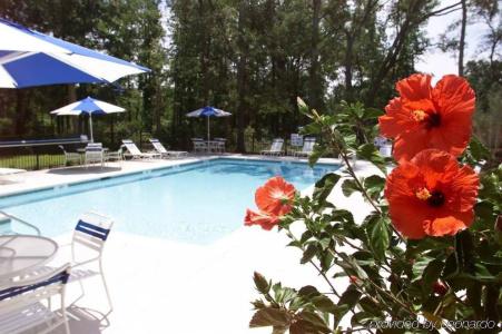 Hampton Inn Charleston-Daniel Island - 9