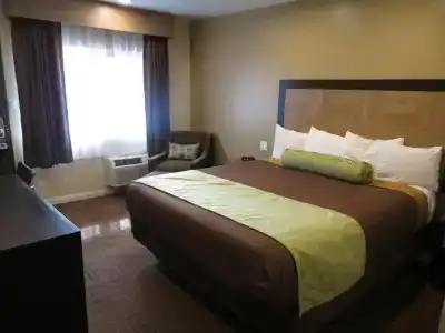 Best Western Plus - 30