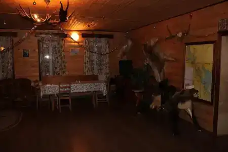 Волчица - 14