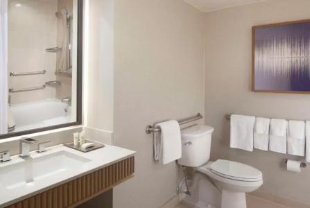 Hilton Anatole - 6