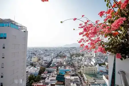 Lemore Nha Trang - 54