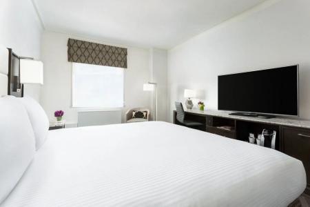 Boston Park Plaza - 6