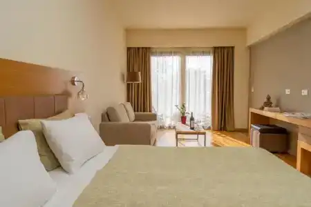 Domotel Anemolia Mountain Resort - 71