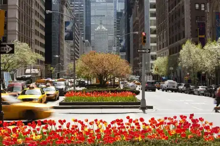 Loews Regency New York - 22