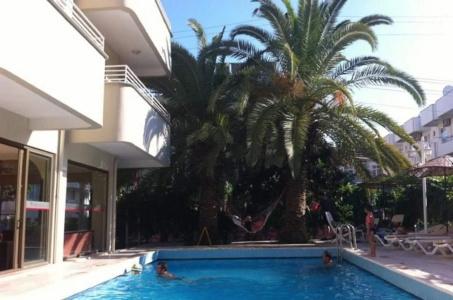 Green Palm - 9