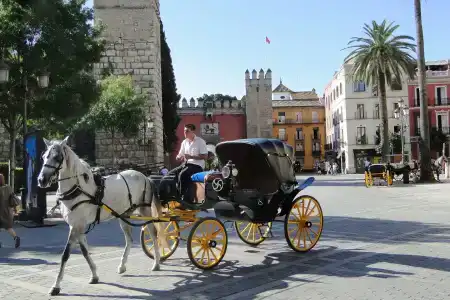 Pasarela - 36