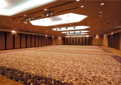 Kagoshima Sun Royal - 16