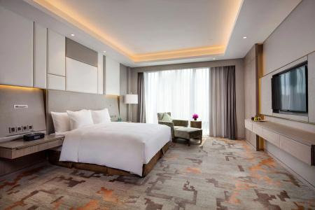Radisson Exhibition Center Shanghai - 95