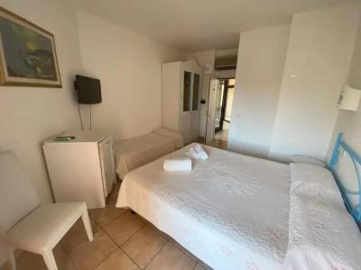 Palau City - 5