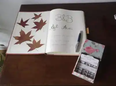 Bed & Breakfast Agli Aceri - 9