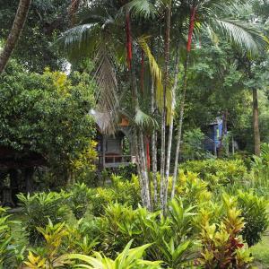 Tree Tops River Huts - 49