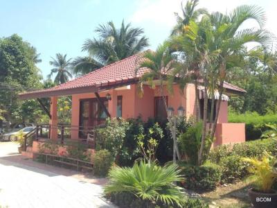 The New Villa - 65