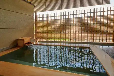 Arima Onsen Takayamaso Hanano - 16