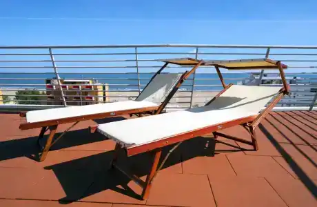 Ali d'Oro - 7