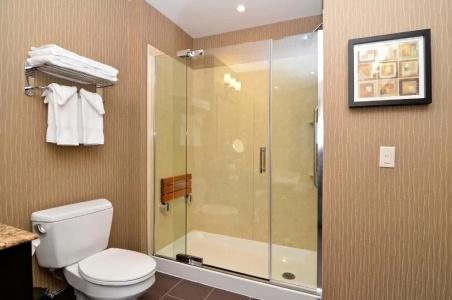Best Western Premier Freeport Inn Airport - 67