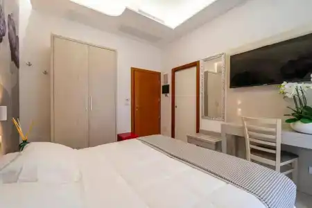 Stella d'Oro - 90