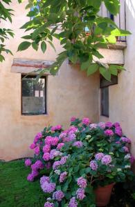 Il Relais dell'Abbazia - 11