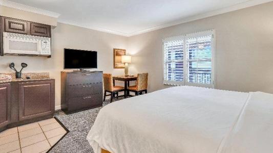 Staybridge Suites Savannah Historic District, an IHG - 88