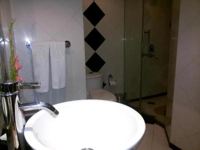 Ramada Jaipur - 29