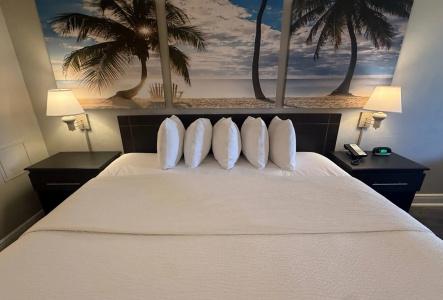 Days Inn by Wyndham Fort Lauderdale-Oakland Park Airport N - 2