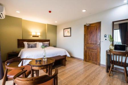 Olive Tree - 20