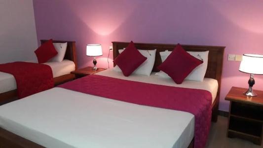 New Rani Inn - 26