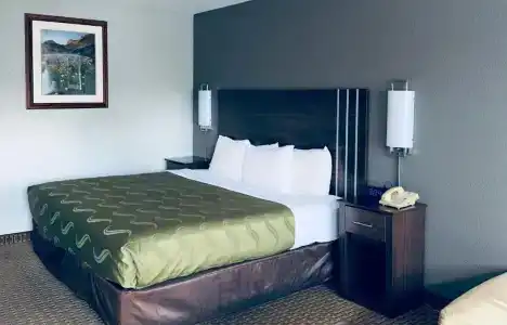 Quality Inn - 54