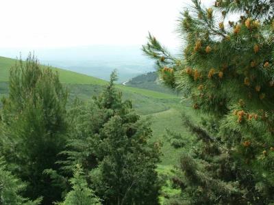 B&B & Residence Pozzo Misseo - 10