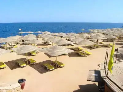 Sharm Reef Resort - 24