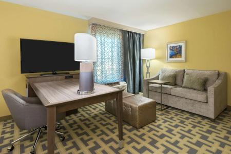 Hampton Inn & Suites Airport Avion Park Westshore - 5