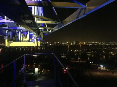 Crane Faralda - 9