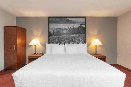 Quality Inn & Suites - 41
