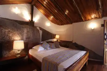Chauve Souris Relais - 5