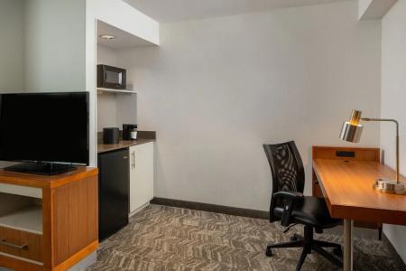 SpringHill Suites by Marriott Orlando Convention Center - 19