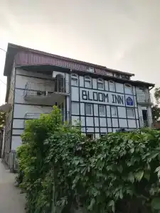 Bloom Inn - 0