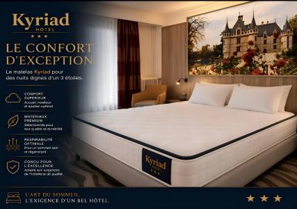 Kyriad Tours Centre - 24