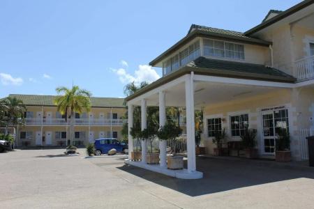 Colonial Rose - 0