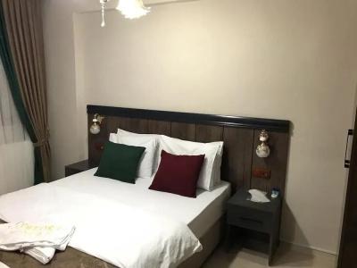 Comfort Suite Van - 3